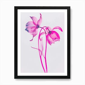 Hot Pink Bluebell 2 Art Print