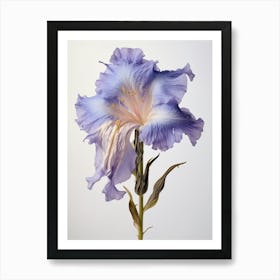 Pressed Wildflower Botanical Art Fringed Gentian 1 Art Print