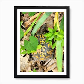 Turtle Alert Art Print