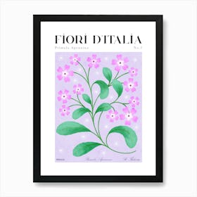 Italian Flora: Primula Apennina / Alpine Primrose Art Print