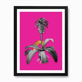 Vintage Eucomis Regia Black and White Gold Leaf Floral Art on Hot Pink n.0870 Art Print