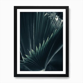 Palm Shade 1 Art Print