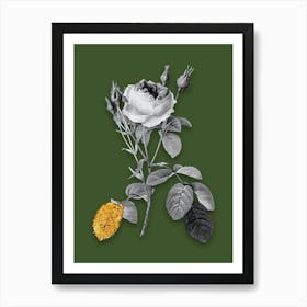 Vintage Double Moss Rose Black and White Gold Leaf Floral Art on Olive Green n.0273 Art Print