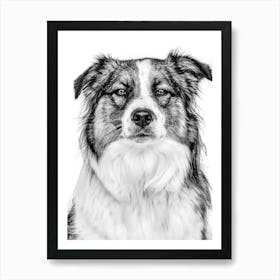 Black And White Dog Portrait 1 Art Print