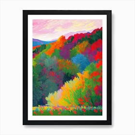 Thingvellir National Park Iceland Abstract Colourful Art Print