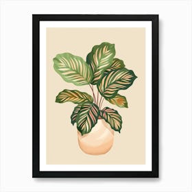 Calathea Plant Minimalist Illustration 5 Art Print