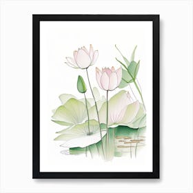 Lotus Flowers In Park Pencil Illustration 1 Art Print