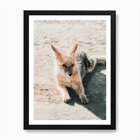 Desert Fox Wildlife Art Print