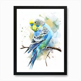 Budgie Watercolor Painting Art Print