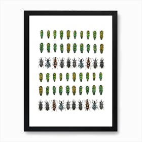 Collections Small Insects Art Print