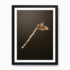 Gold Botanical Fig on Chocolate Brown n.1258 Art Print