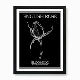 English Rose Blooming Line Drawing 2 Poster Inverted Art Print