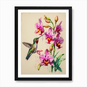 Hummingbird 12 Art Print