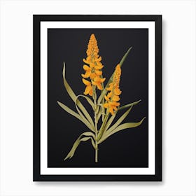 Turmeric Vintage Botanical Herbs 1 Art Print