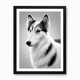 Shetland Sheepdog B&W Pencil Dog Art Print