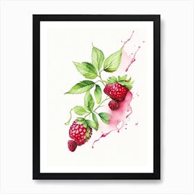 Red Raspberry Herb Minimalist Watercolour 1 Art Print