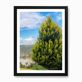 Cypress Tree Art Print