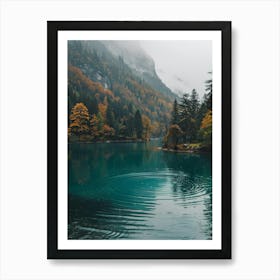 Swiss Alps Art Print