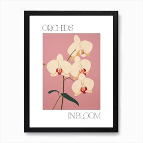 Orchids In Bloom Flowers Bold Illustration 3 Art Print