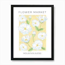 Flower Market Mountain Avens - white flowers on yellow Art Print