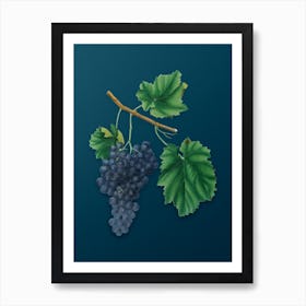 Vintage Lacrima Grapes Botanical Art on Teal Blue n.0231 Art Print