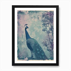 Vintage Peacock In The Trees Cyanotype Inspired 3 Art Print