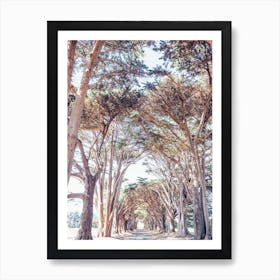 Cypress Grove Art Print