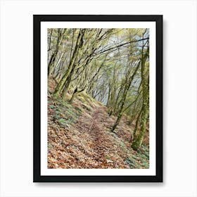 Serene Forest Pathway with Stream in Orobie Alps. This image captures a tranquil forest scene with a small stream flowing through it. The forest is dense with trees, some of which are covered in moss and ivy. The ground is littered with fallen leaves, and the stream is bordered by rocks and vegetation. The overall atmosphere is peaceful and serene, making it a perfect representation of untouched natural beauty 2 Art Print