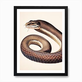 Philippine Cobra Vintage Art Print