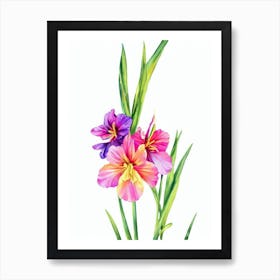 Gladioli 2  Watercolour Flower Art Print