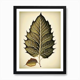 Birch Leaf Vintage Botanical 2 Art Print