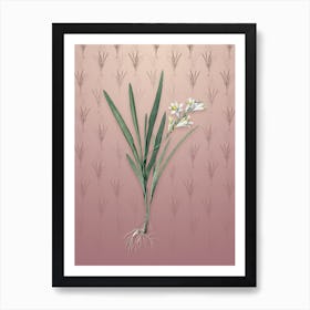 Vintage Gladiolus Xanthospilus Botanical on Dusty Pink Pattern n.0953 Art Print