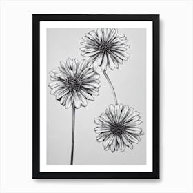 Marigold B&W Pencil 1 Flower Art Print