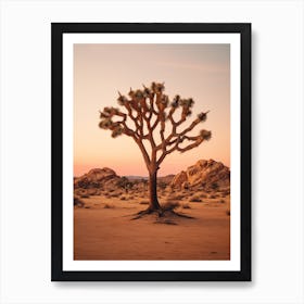  Photograph Of A Joshua Tree At Dusk  In A Sandy Desert 2 Art Print