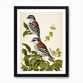 Sparrow James Audubon Vintage Style Bird Art Print