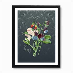 Vintage Sweet Pea Botanical on Slate Gray Pattern n.1716 Art Print