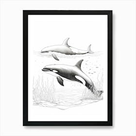 Abstract Orca Whale Pencil Drawing Art Print