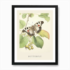 Beatrix Potter Inspired  Animal Watercolour Butterfly 1 Art Print