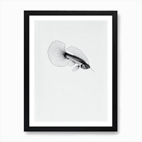 Sea Robin Black & White Drawing Art Print