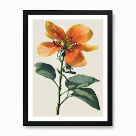 Hibiscus 8 Art Print