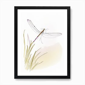 Wandering Glider Dragonfly Pencil Illustration 1 Art Print