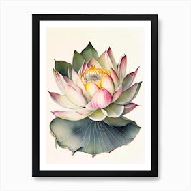 Giant Lotus Watercolour Ink Pencil 2 Art Print