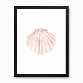 Seashells clipart  Coquillage dessin, Illustration art déco, Dessin floral