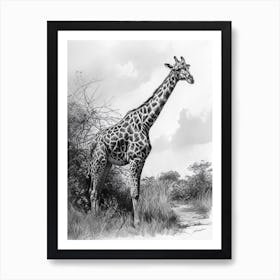 Pencil Portrait Of A Giraffe Standing 2 Art Print