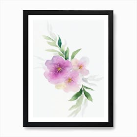 Cherry Blossom Watercolour Flower Art Print