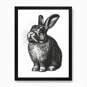 English Lop Blockprint Rabbit Illustration 5 Art Print