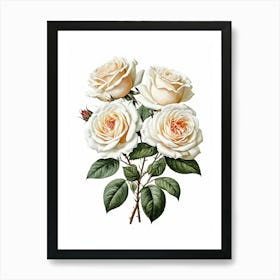 Vintage Galleria Style Rose Art Painting 5 Art Print