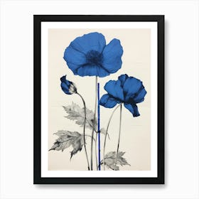 Blue Botanical Poppy 1 Art Print