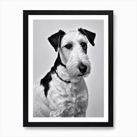 Lakeland Terrier B&W Pencil Dog Art Print