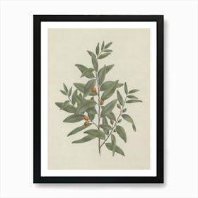 African Sandalwood, Luigi Balugani Art Print